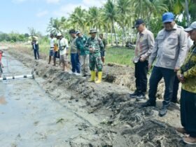 Lahan Tidur di Motolohu Kembali Produktif, 2 Hektare Mulai Ditanami Padi