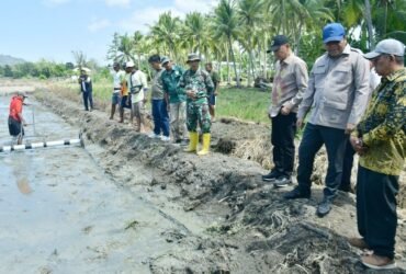 Lahan Tidur di Motolohu Kembali Produktif, 2 Hektare Mulai Ditanami Padi