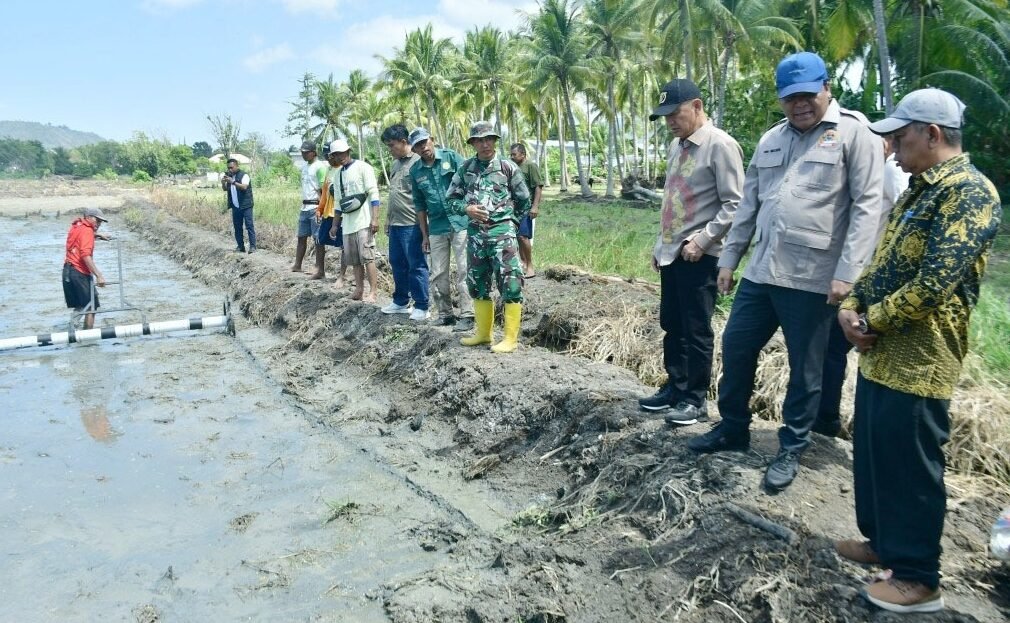 Lahan Tidur di Motolohu Kembali Produktif, 2 Hektare Mulai Ditanami Padi